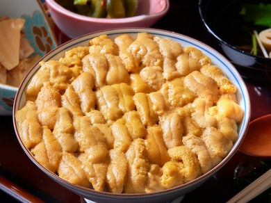 【3-8月】ウニ丼