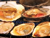0006104584J2.jpg