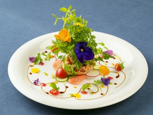 『ノルウェー産サーモンマリネカルパッチョと園部産野菜サラダ』