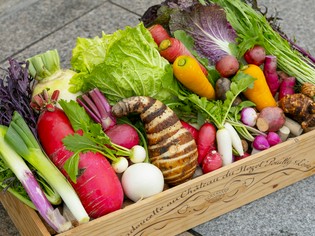 契約農家から届く朝採り無農薬野菜をふんだんに使用