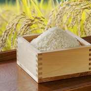 出身地である新潟県を代表するお米「魚沼産こしひかり」。自分を育ててくれた食材に感謝と愛情を込めて、店でも使用しています。おすすめは、塩にぎり。シンプルでありながら、お米の甘味を感じられる一品です。
