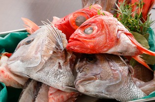料理に深い旨みと奥行きをもたらす天然魚介の「魚のアラ」