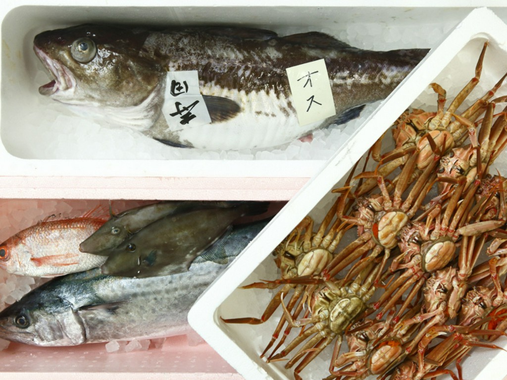 魚津を中心に、築地や小樽から魚介類を調達
