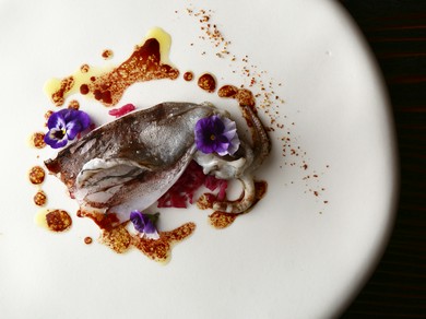 彩り鮮やかなイカ