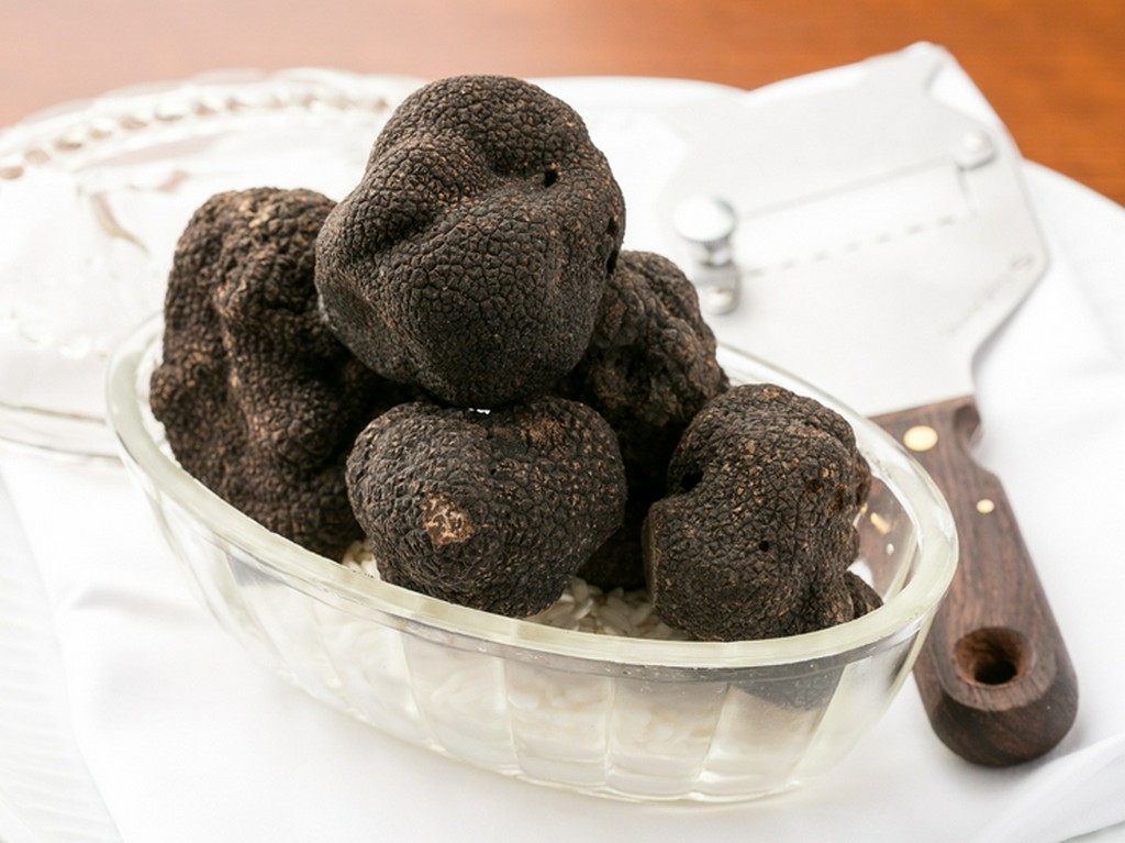 旬の食材を、状況にあわせて一番おいしく調理