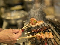 厳選された地鶏を炭火で香ばしくじっくり焼き上げた「やきとり」メインのコースです。