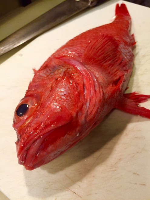 贅沢グルメ