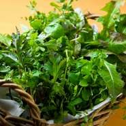 身体に優しい料理の源となるのは、上毛町で獲れる野草。この籠の中には、タンポポ・ハコベ・スズメのエンドウ・オオバコ・ヨモギ・セリ・カキオドシ・ノビルなど。今や、これらの野草は料理に欠かせません。