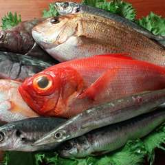 旬の新鮮な魚をお造りで。鮮度の良い魚介ならではの味わいを堪能