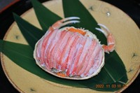 11月7日解禁、12月末禁漁予定です。毎年、仕入れ価格の変動がありますので、2200円から4180円(税込)