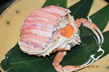 季節の料理と上質で落ち着きのある和空間で、接待、デート、会食など幅広いシーンでご利用ください。