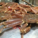 松葉蟹のコースはじめました！（11月～3月下旬まで）
鳥取県境港産の松葉蟹のコースです！