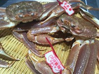 松葉蟹のコースはじめました！（11月～3月下旬まで）
鳥取県境港産の松葉蟹のコースです！