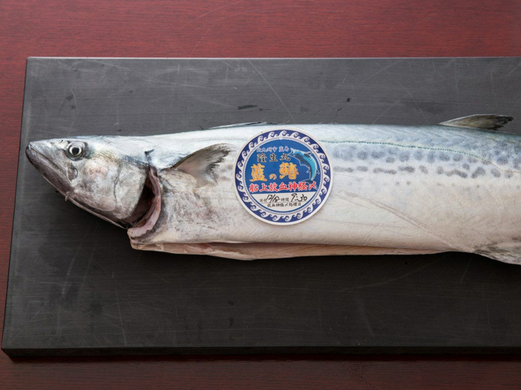血を抜き、じっくりと熟成をかけていく神経締めの極上サワラ