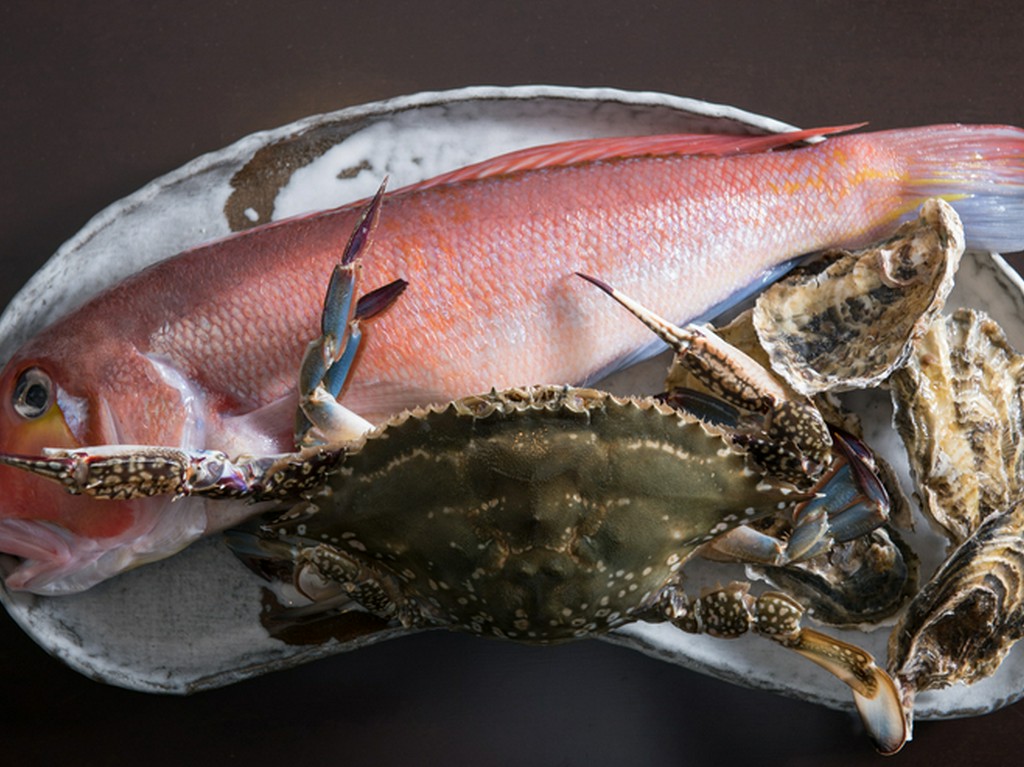 豊かな漁場に恵まれた福岡近海で水揚げされる魚介類