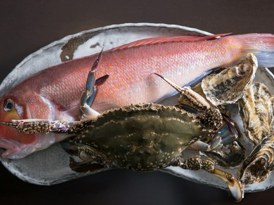 豊かな漁場に恵まれた福岡近海で水揚げされる魚介類