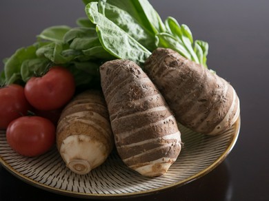 魚だけではない、ありきたりな野菜が抜群に美味しい