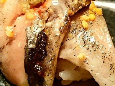 とろける大羽イワシ 生に炙ったイワシ 感動！あさ海流イワシ握り