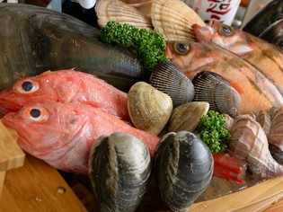 鮮度抜群、自然の旨み溢れる上質な「魚」をご堪能ください