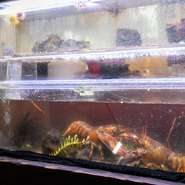 その日の食材が並べられたケースや、伊勢海老などが泳ぐ生け簀は圧巻。部位ごとにお肉の品種を決めたり、魚介類は注文が入ってから調理したりするなど、食材の品質や新鮮さにこだわっているそうです。