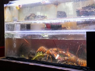 ケースと生け簀にずらり！新鮮さが活きたこだわりのお肉と海鮮類