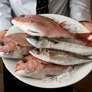 山口県・萩や石川県・能登から直送された季節の鮮魚介を使用