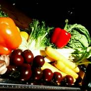 全国各地、顔の見える生産者さんから毎日届く国産野菜・フルーツ、東北より直送される鮮度の良い魚介、精肉にこだわりを持っています。生産者さんや食に関わりのある方の思いを伝えるべく、様々な素材を使います。
