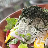 湘南といえば「しらす」!! 
採れたて野菜と共にひと味違った和風サラダに仕上げました。フレッシサラダに次ぐ人気サラダです！ 