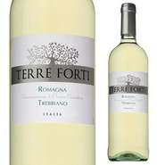 テッレ　フォルティ（辛口）　（イタリア）