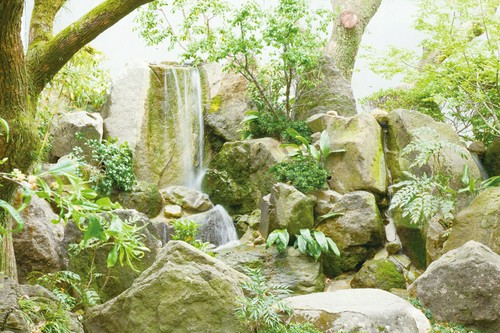 本館では四季折々の景色が楽しめる日本庭園も