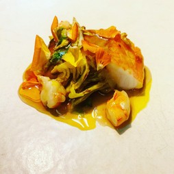 お任せのコース