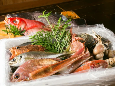 日本海や鳴門から直送仕入れする新鮮魚介を『刺身』や『握り』に