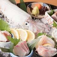 玄界灘などから直接仕入れる鮮魚を堪能する『刺身盛り合わせ』には5～7種ほどの鮮魚を盛り合わせ
