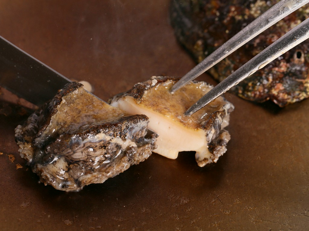 北海道産蝦夷鮑