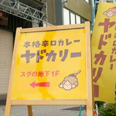 谷町のカレー店巡りにぜひ。二人で食べるとさらに幸せな美味しさ