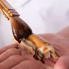 長崎県産を使用してふっくら仕上げた『穴子』