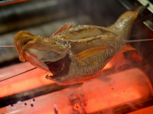 金沢港の市場で仕入れる活き活きの鮮魚＆加賀伝統の旬野菜