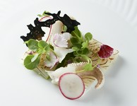 季節感あふれる九州の魚介を、クリエイティブな一皿に