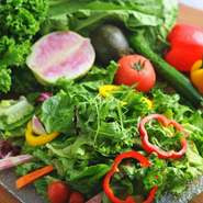 厚生労働省の「1日分の野菜摂取量350グラム」を一度に食べれる！

【選べるドレッシング】コブドレッシング/レモン＆シーザードレッシング/トリュフオイル＆あら塩ドレッシング