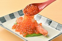 脂の乗った銀鮭にたっぷりのいくらと大根おろしを添えた贅沢な一品。銀鮭の旨味といくらのプチプチ食感が絶妙に絡み合い、大根おろしが全体をさっぱりと仕上げます。