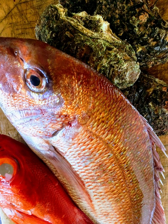 季節ごとに替わる旬素材をご用意。季節感のある料理に