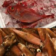 漁港直送の鮮魚の網焼き スペインの市場で食べる魚介の網焼きはシンプルですが、忘れられない味。海の香りとワインをお楽しみ下さい。