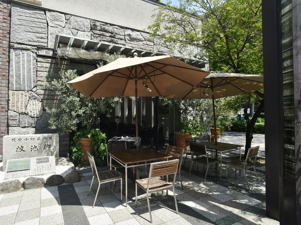 開放感のある木陰でくつろぐテラス