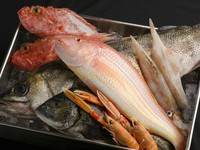 地物の魚介でイタリアン！