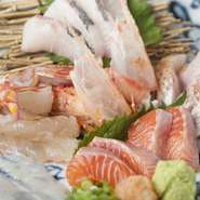 その日に仕入れた新鮮な魚介を、お任せで盛り合わせ。「車海老」は生きたままのものを捌いてご提供、その鮮度の良さは折り紙付きです。味わい豊かな海の恵みをご満喫ください。