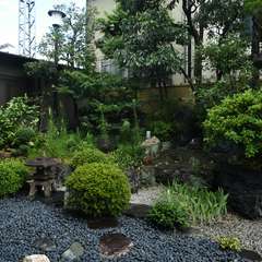 店内から眺めることができる日本庭園