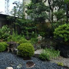 店内から眺めることができる日本庭園