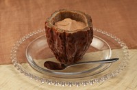 ビターチョコレートを贅沢に使用したアイスをカカオの皮に詰めました。