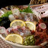 瀬戸内海で獲れる、厳選された旬の地魚を満喫する至福のひととき