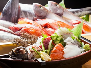 名護漁港直送の近海魚の極新鮮な風味や歯ごたえをご賞味ください